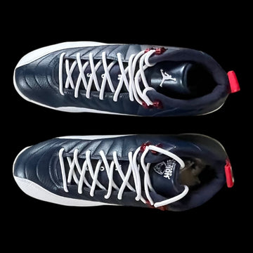 Jordan Retro 12 Mid Savage 3 - Howard Bison PE
