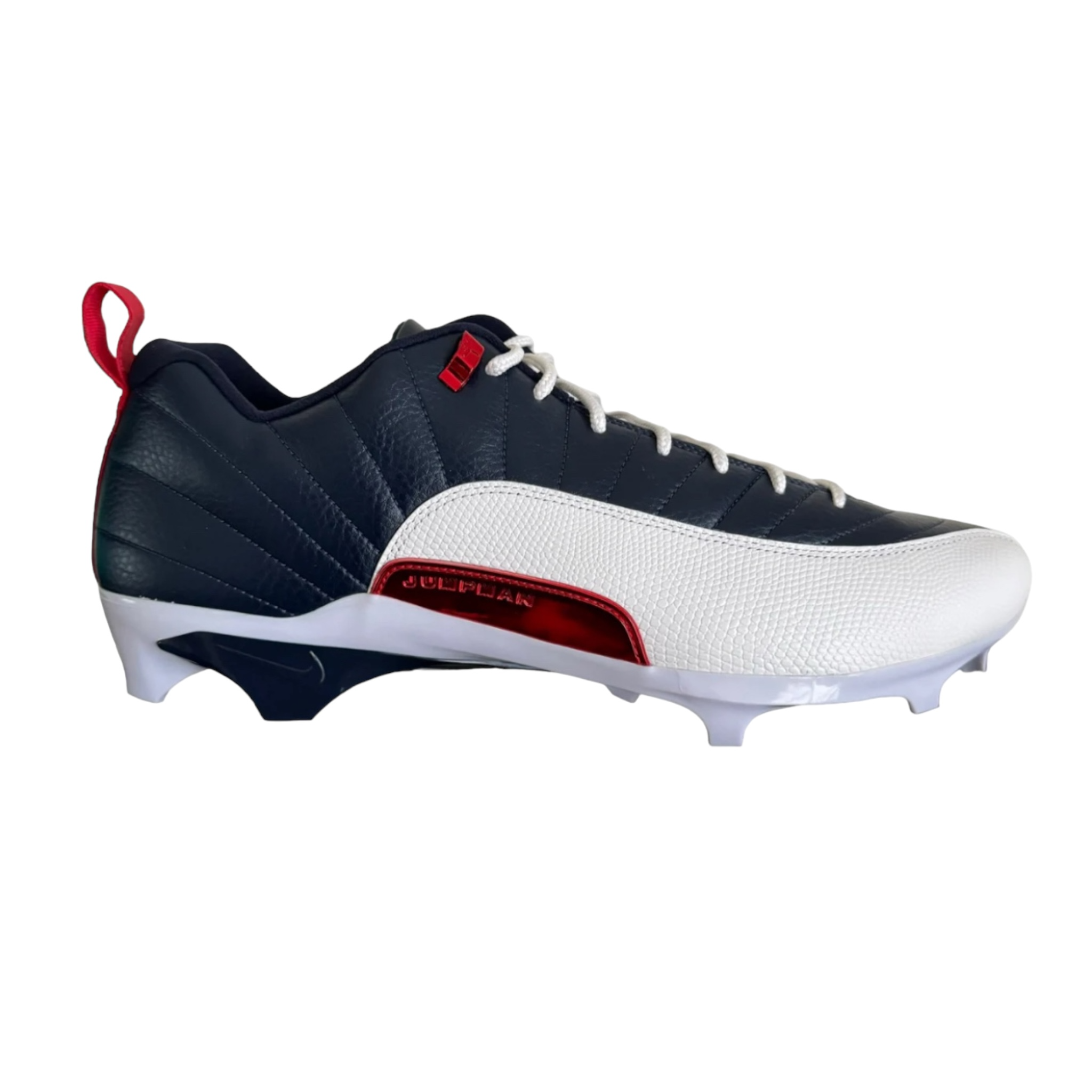 Jordan 12 Low Howard Bison PE