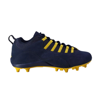 Jordan 10 Low Alpha Pro Michigan Wolverines