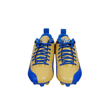 Jordan 12 Low Vapor Edge UCLA PE